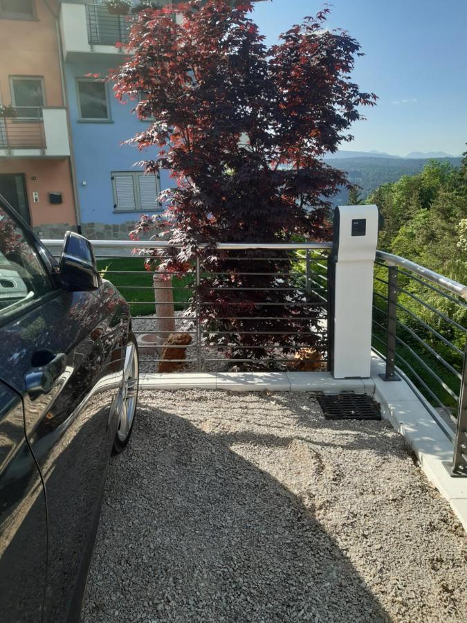 Agritur LA FENICE Brez Exterior foto